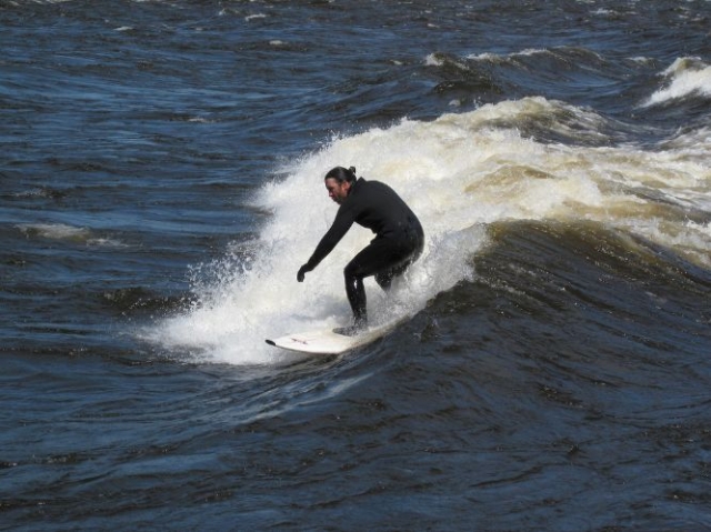 Surfeando la ola